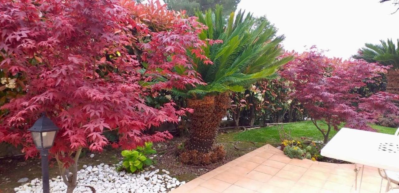 Villa Gaia - Luxury Villa, Pool & Wellness Rooms Bordighera Dış mekan fotoğraf
